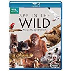 Spy in the Wild (BBC) (2-disc) [Blu-ray]